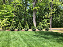 Quality Hands Landscaping LLC - Photo 2 - Car repair in , Hagerstown