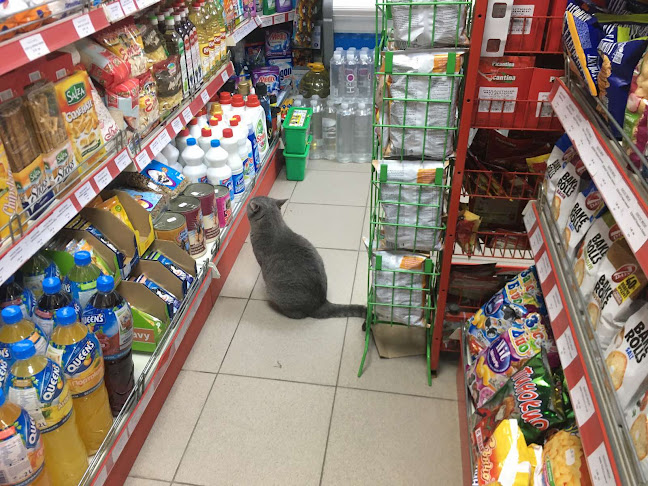 Opinii despre Нон стоп магазин Мерси în Казанлък - Магазин