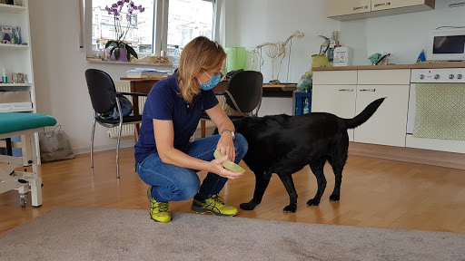 Praxis-Tierphysiotherapie Corina Szperling unter Großwallstadt, 