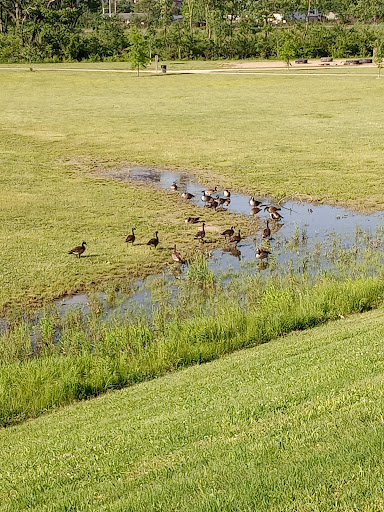 Nature Preserve «Grange Insurance Audubon Center», reviews and photos, 505 W Whittier St, Columbus, OH 43215, USA