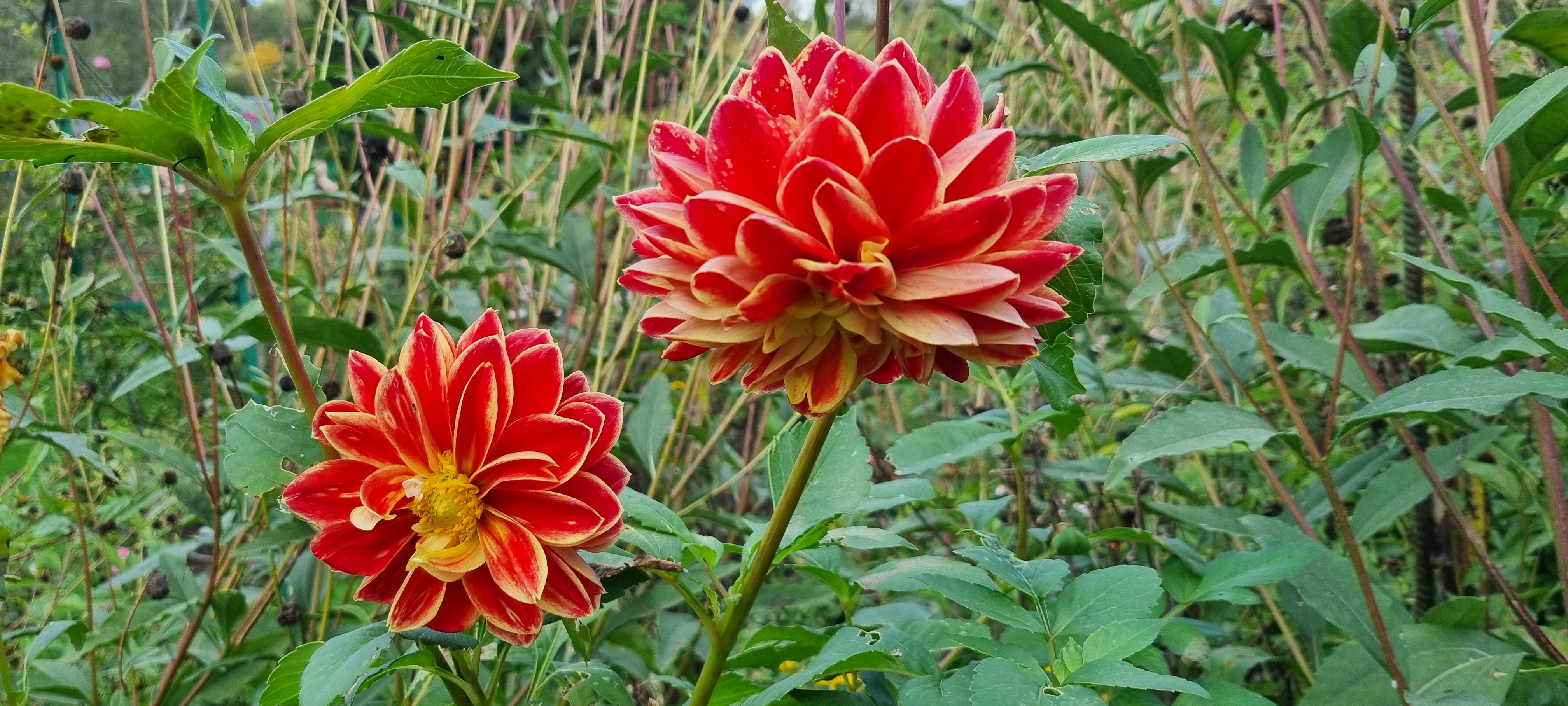 Photo n° 26 de l'avis de lemagicien40. fait le 03/11/2023 à 07:28