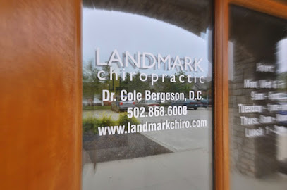 Landmark Chiropractic - Chiropractor in Georgetown Kentucky