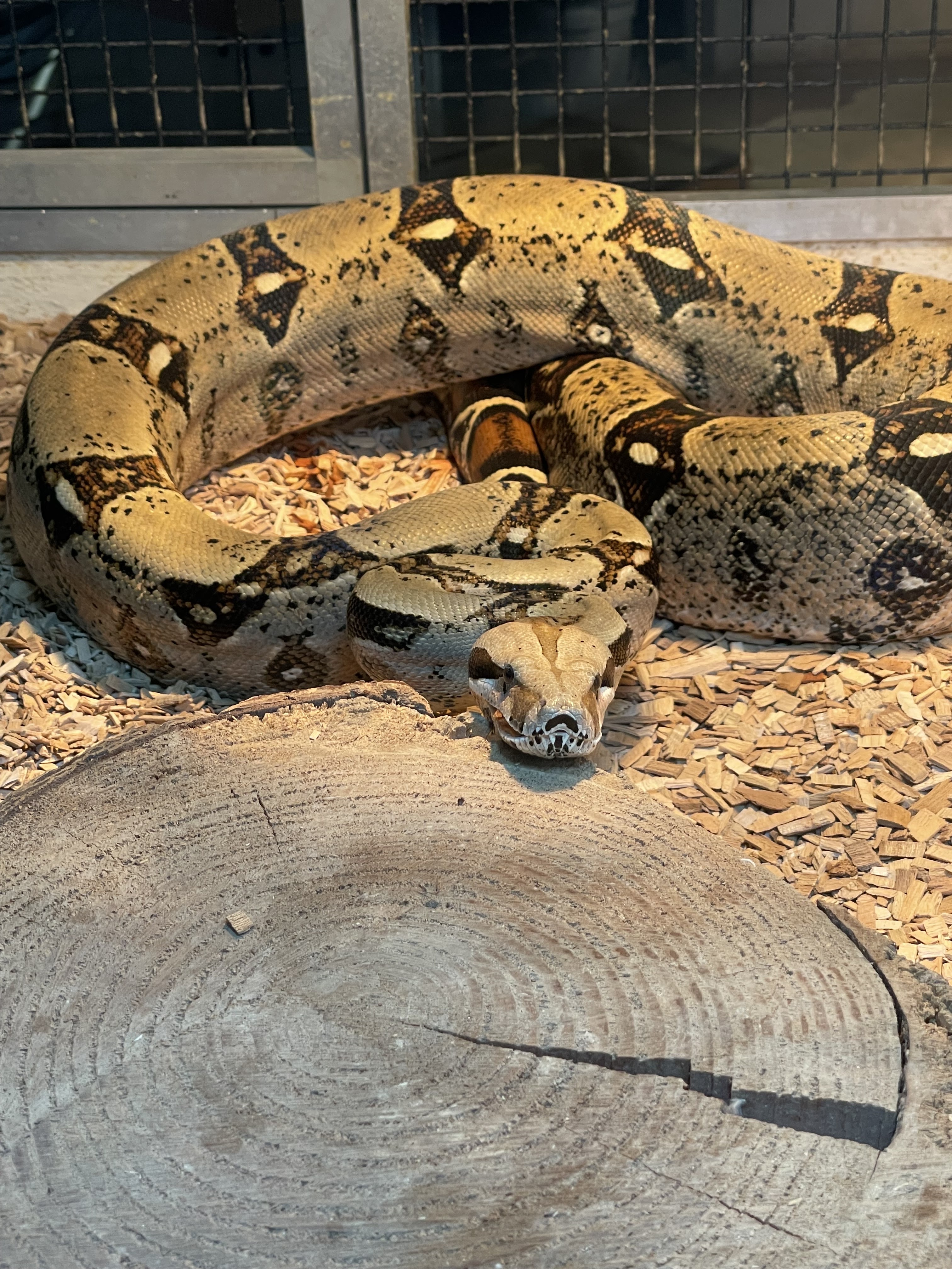 Photo n° 9 de l'avis de joel.u fait le 22/09/2021 à 14:33