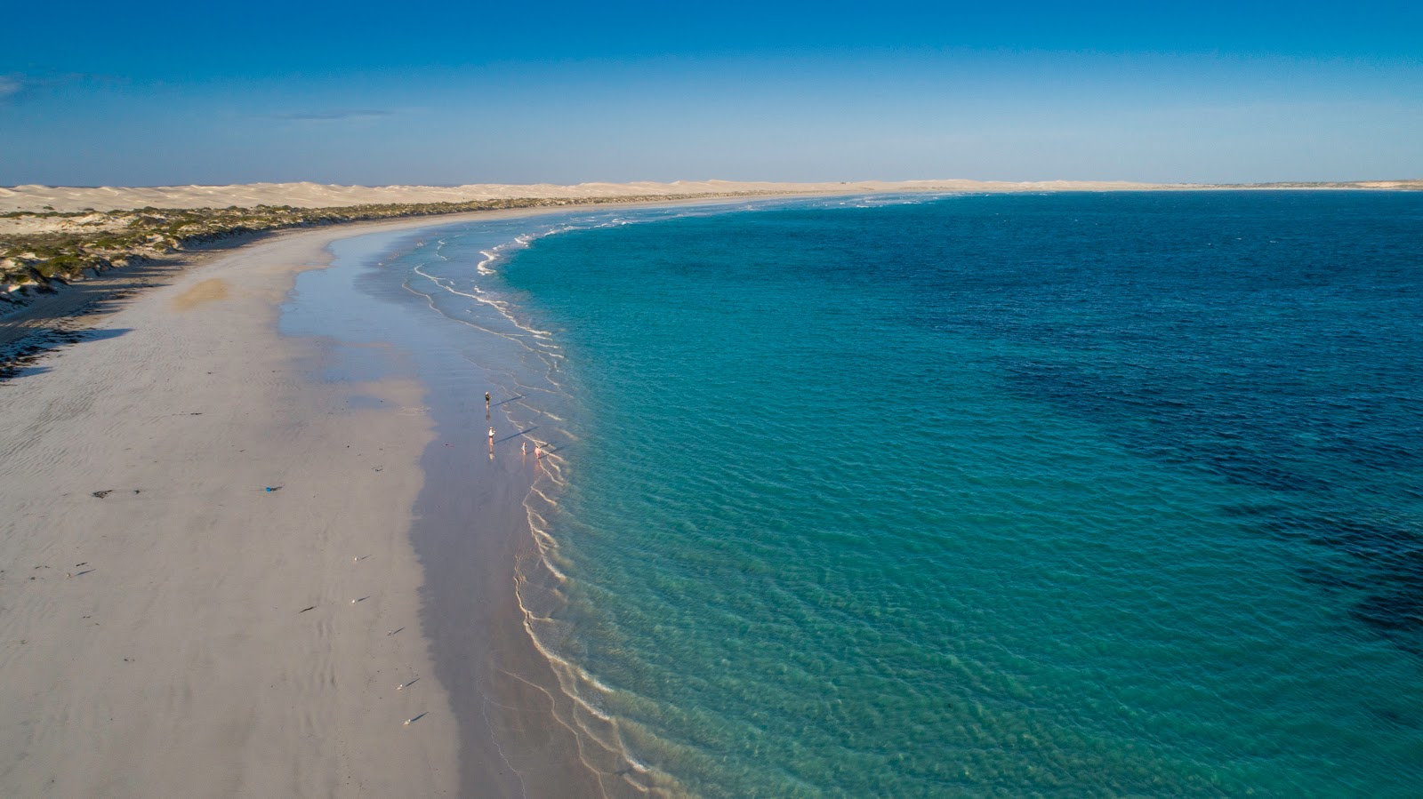 Foto av Scott Bay med lång rak strand
