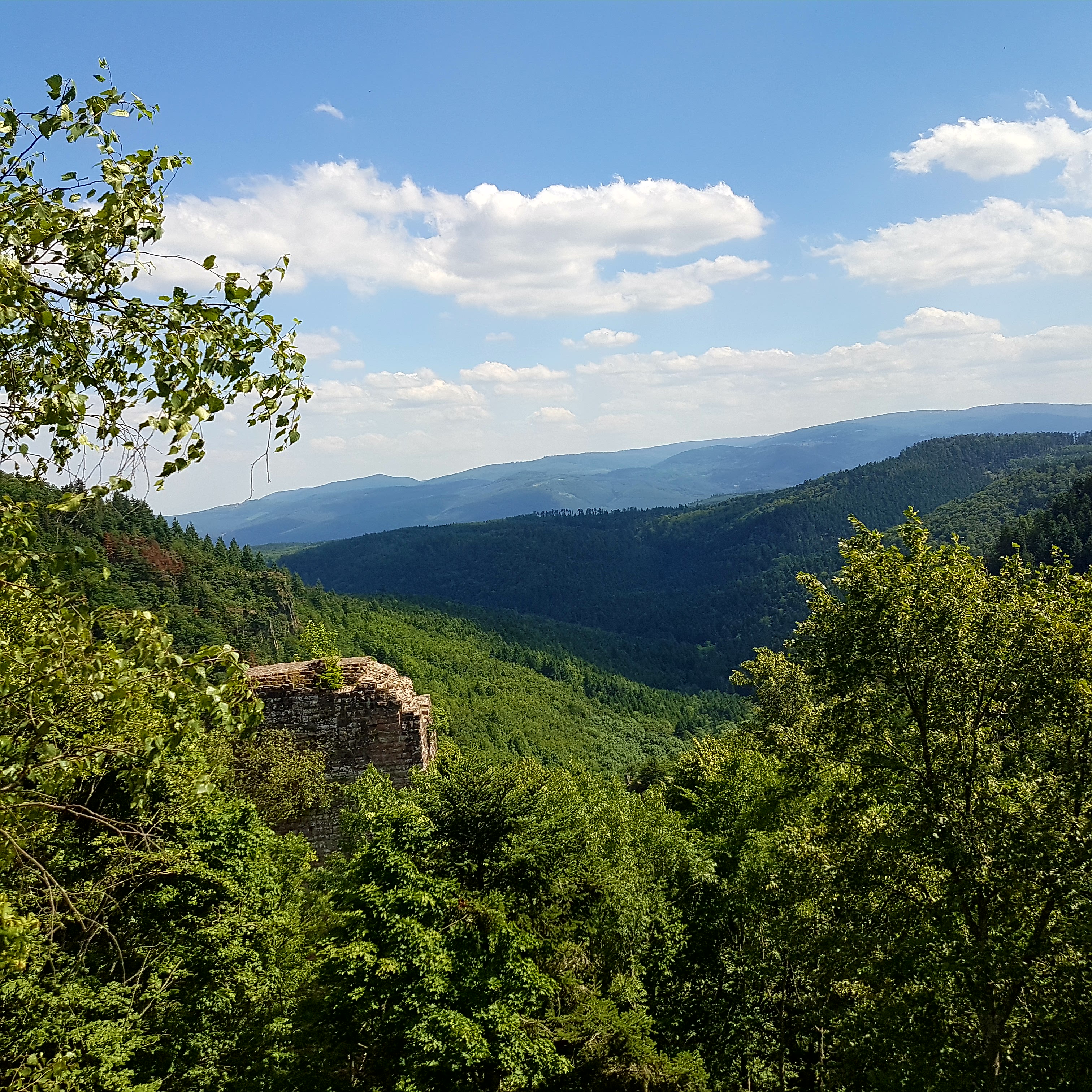Photo n° 4 de l'avis de Thomas.c fait le 30/07/2017 à 11:48