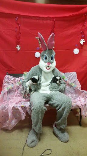 Pet Supply Store «PetSmart», reviews and photos, 1559 Merritt Blvd, Dundalk, MD 21222, USA