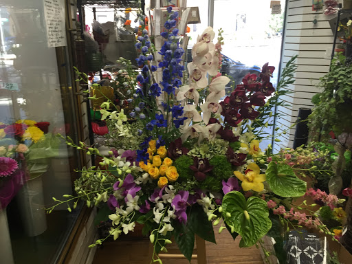 Florist «Gallery of Flowers Ny Corporation», reviews and photos, 1151 Brighton Beach Ave, Brooklyn, NY 11235, USA