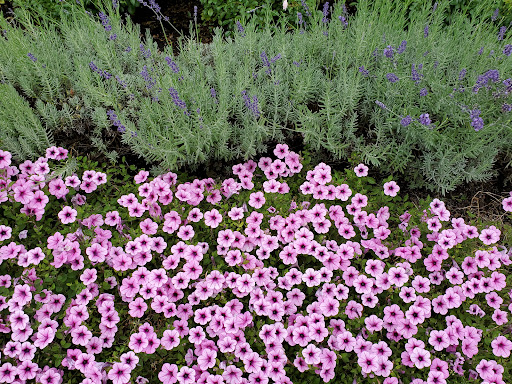 Museum «The Rock and Roll Hall of Fame and Museum», reviews and photos, 1100 E 9th St, Cleveland, OH 44114, USA