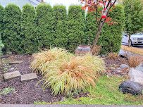 Spring Landscape - Photo 9 - Car repair in , Kent