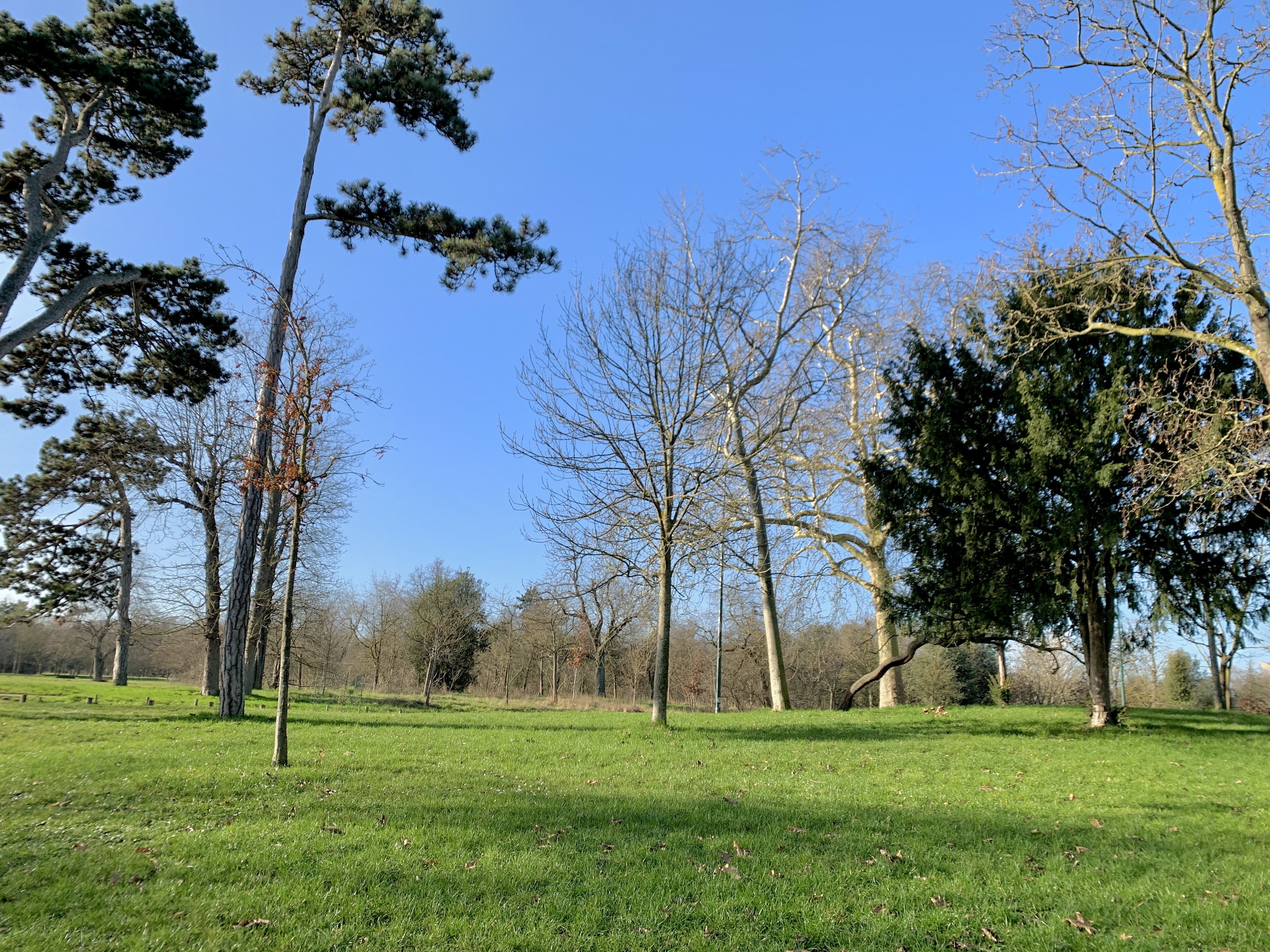 Photo n° 10 de l'avis de Agnès. fait le 10/02/2022 à 08:51