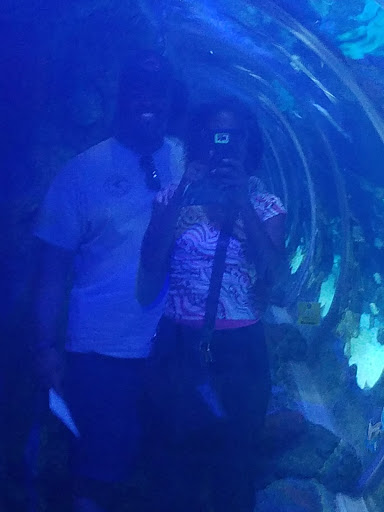 Tropical Fish Store «Concord Aquarium», reviews and photos, 1776 Arnold Industrial Way, Concord, CA 94520, USA