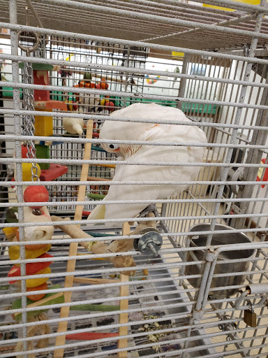 Parrot shops in Milwaukee