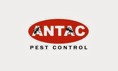 Pest Control Service «Antac Pest Control», reviews and photos