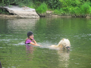 Photo n°14 de Centre équestre l'hippocampe à Berrias-et-Casteljau ()