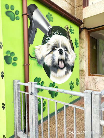 Peluquería canina Dejando huella noja - Servicios para mascota en Noja