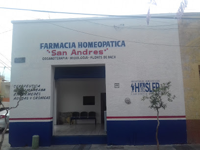 Farmacia Homeopatica San Andres Calle Félix Bernardelli 44, San Andrés, 44810 Guadalajara, Jal. Mexico