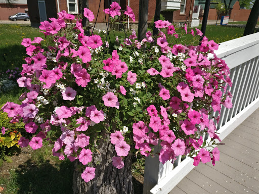 Florist «Grand Blanc Florist», reviews and photos, 11626 S Saginaw St, Grand Blanc, MI 48439, USA