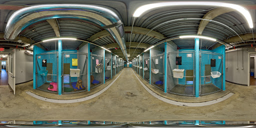 Kennel «Pampered Pets», reviews and photos, 601 Concord Ave, Charlottesville, VA 22903, USA