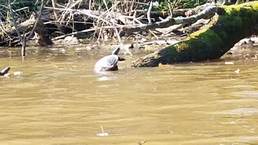 Boat Ramp «Bladensburg Waterfront Park», reviews and photos, 4601 Annapolis Rd, Bladensburg, MD 20710, USA