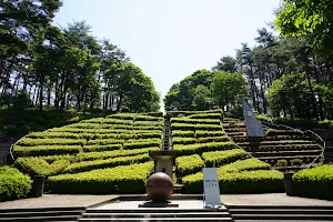 Toriidaira Yamabiko Park image