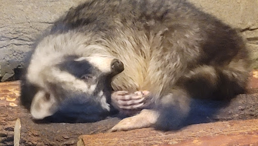 Aquarium «Oklahoma Aquarium», reviews and photos, 300 Aquarium Dr, Jenks, OK 74037, USA