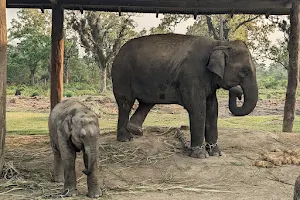 Elephant Breeding Center image