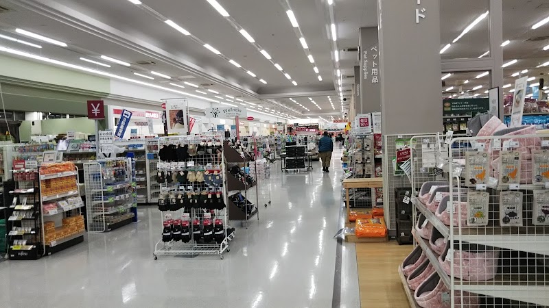 カインズ スーパーセンター 新潟豊栄店