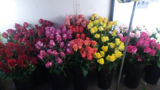 Florist «Relles Florist», reviews and photos, 2400 J St, Sacramento, CA 95816, USA