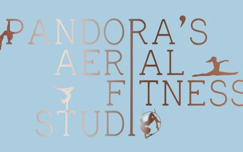 Pandora's Aerial Fitness Studio image