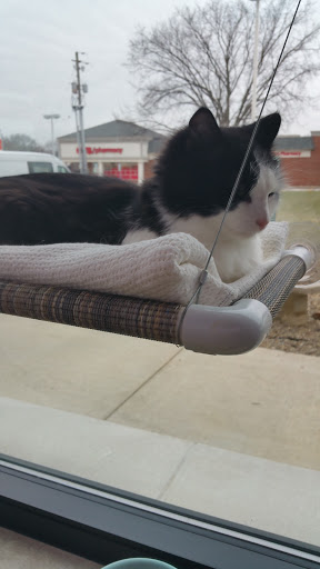 Animal Shelter «One of A Kind Pet Rescue», reviews and photos, 1929 W Market St, Akron, OH 44313, USA