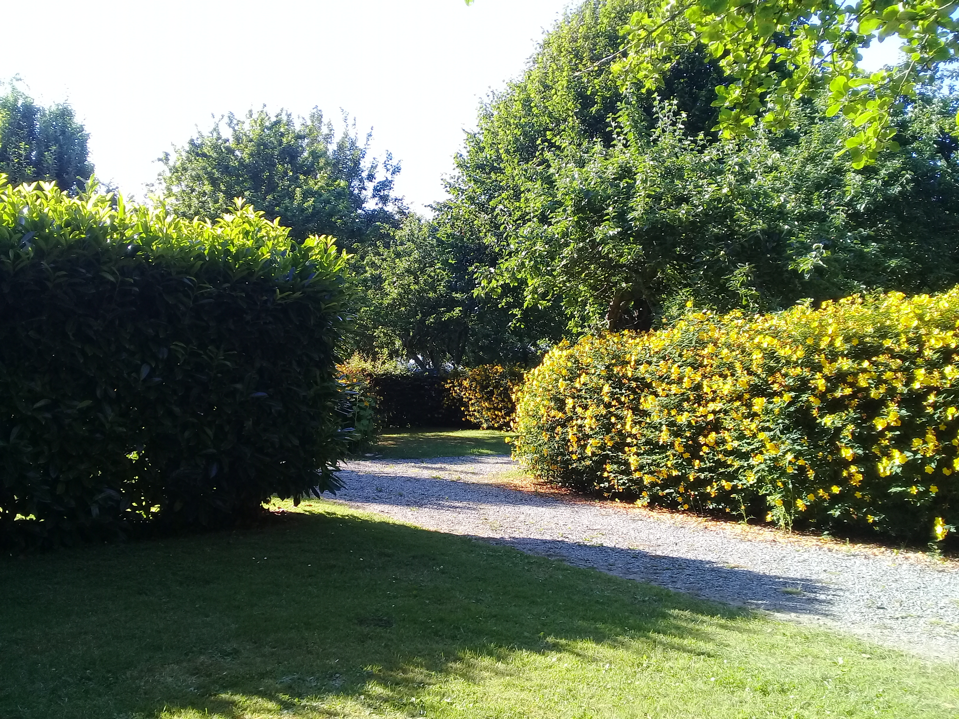 Photo n° 1 de l'avis de Franck.e fait le 14/07/2019 à 08:35