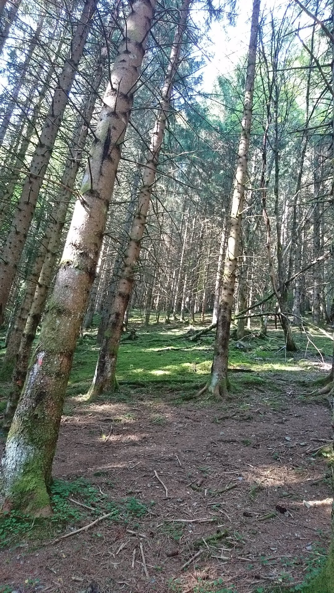 Photo n° 6 de l'avis de Flavie.o fait le 06/08/2018 à 10:49