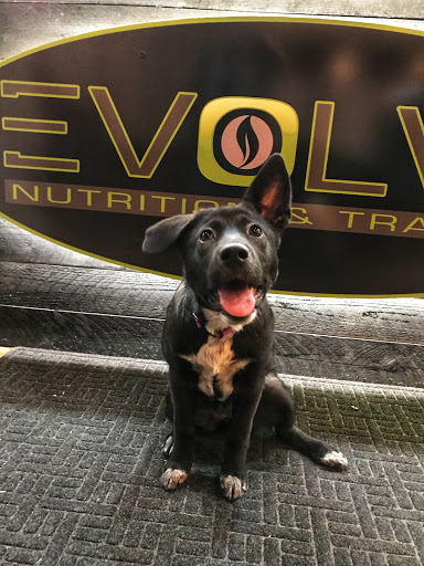 Health Club «Evolve Nutrition and Training», reviews and photos, 3306 Sheyenne St #206, West Fargo, ND 58078, USA