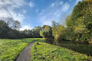 Natuurpark Bloeyendael image