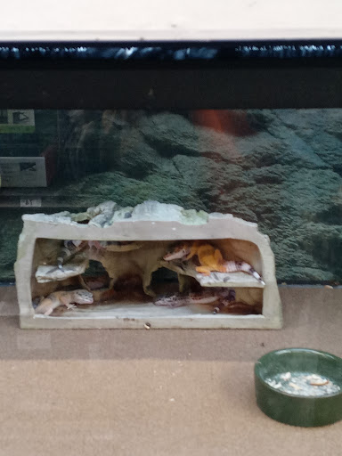 Pet Supply Store «Petco Animal Supplies», reviews and photos, 5631 Grove Blvd, Hoover, AL 35226, USA