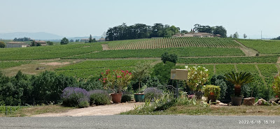 Domaine BONNET COTTON (Pierre Cotton) à Odenas