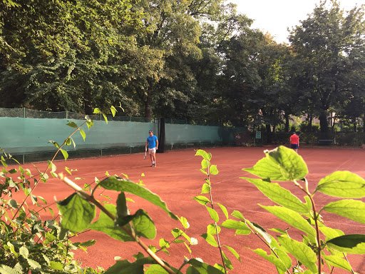 Tennisclub SV Schwarz-Blau
