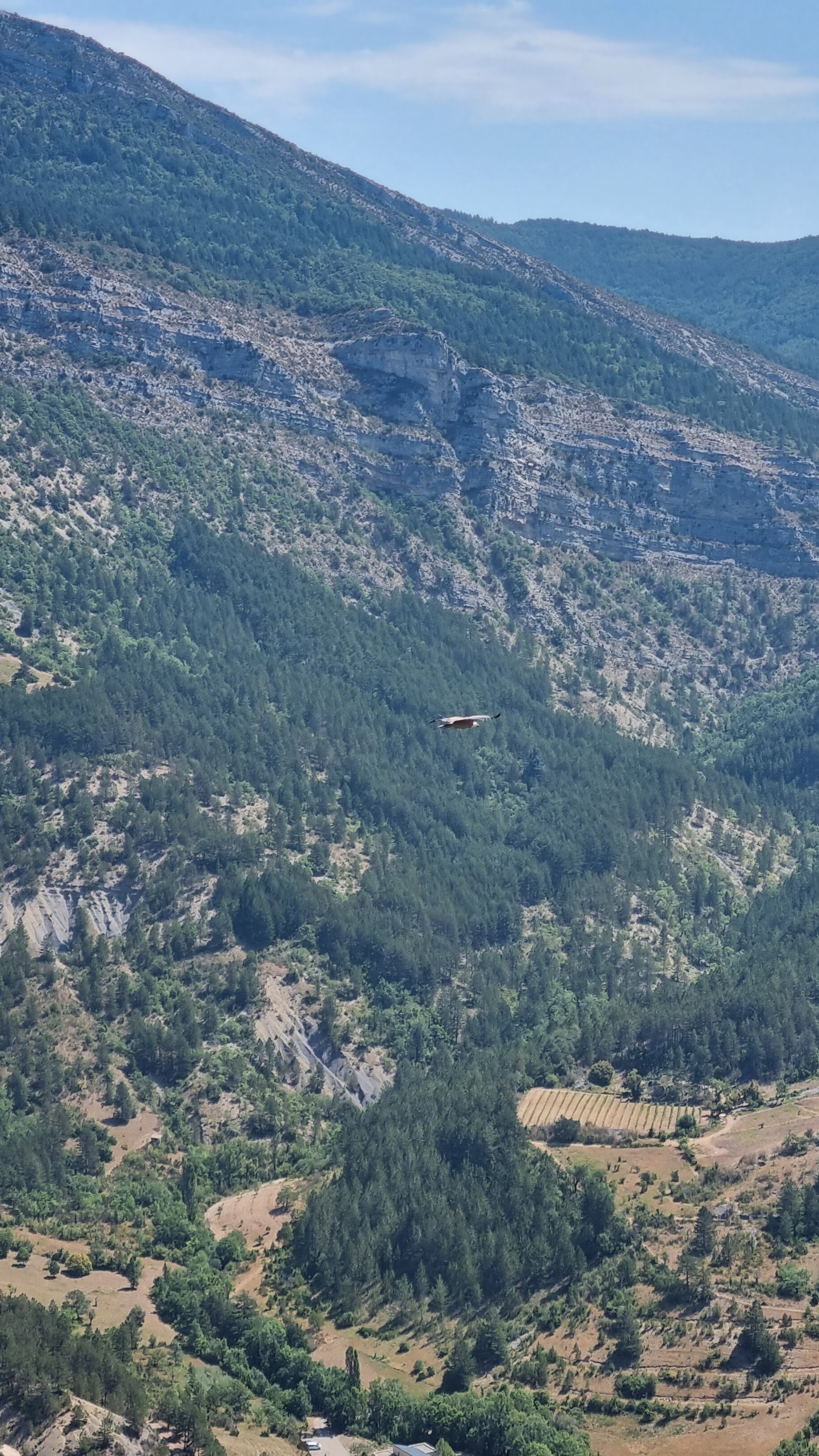 Photo n° 2 de l'avis de Isabelle. fait le 13/08/2023 à 17:06