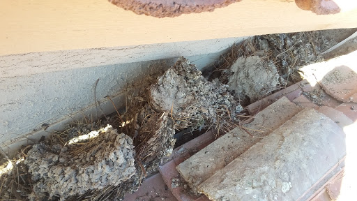 Golf Club «Tuscany Falls Golf Course», reviews and photos, 16262 Clubhouse Dr, Goodyear, AZ 85395, USA