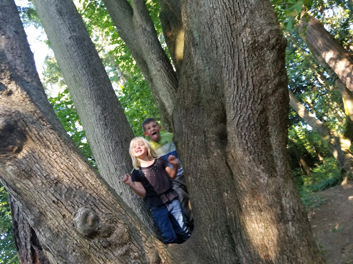 Park «Zumdieck Park», reviews and photos, 1500 108th Ave NE, Bellevue, WA 98004, USA