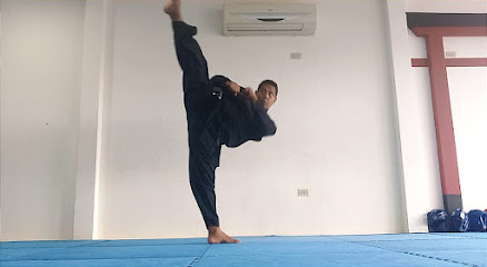 Academia Bigak taekwondo