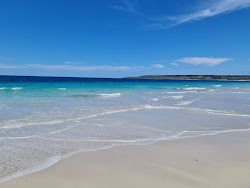Antechamber Bay Beach'in fotoğrafı düz ve uzun ile birlikte