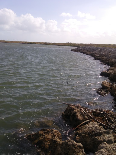 Marina «Fort Pierce City Marina», reviews and photos, 1 Avenue A, Fort Pierce, FL 34950, USA