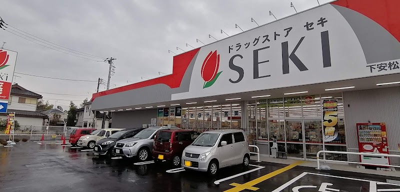 ドラッグストアセキ下安松店