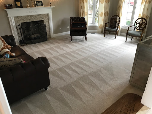 CARPET AND UPHOLSTERY STEAM CLEANING
