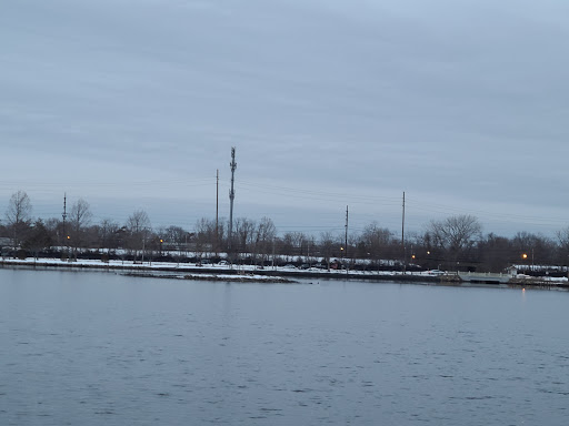 Plant Nursery «Argyle Flower & Garden Ltd», reviews and photos, 185 W Main St, Babylon, NY 11702, USA