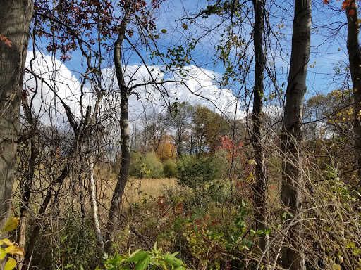 Car Repair and Maintenance «Midas», reviews and photos, 920 Route 46 East, Kenvil, NJ 07847, USA