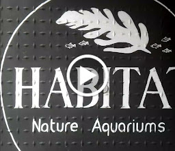 Habitat Nature Aquariums photo