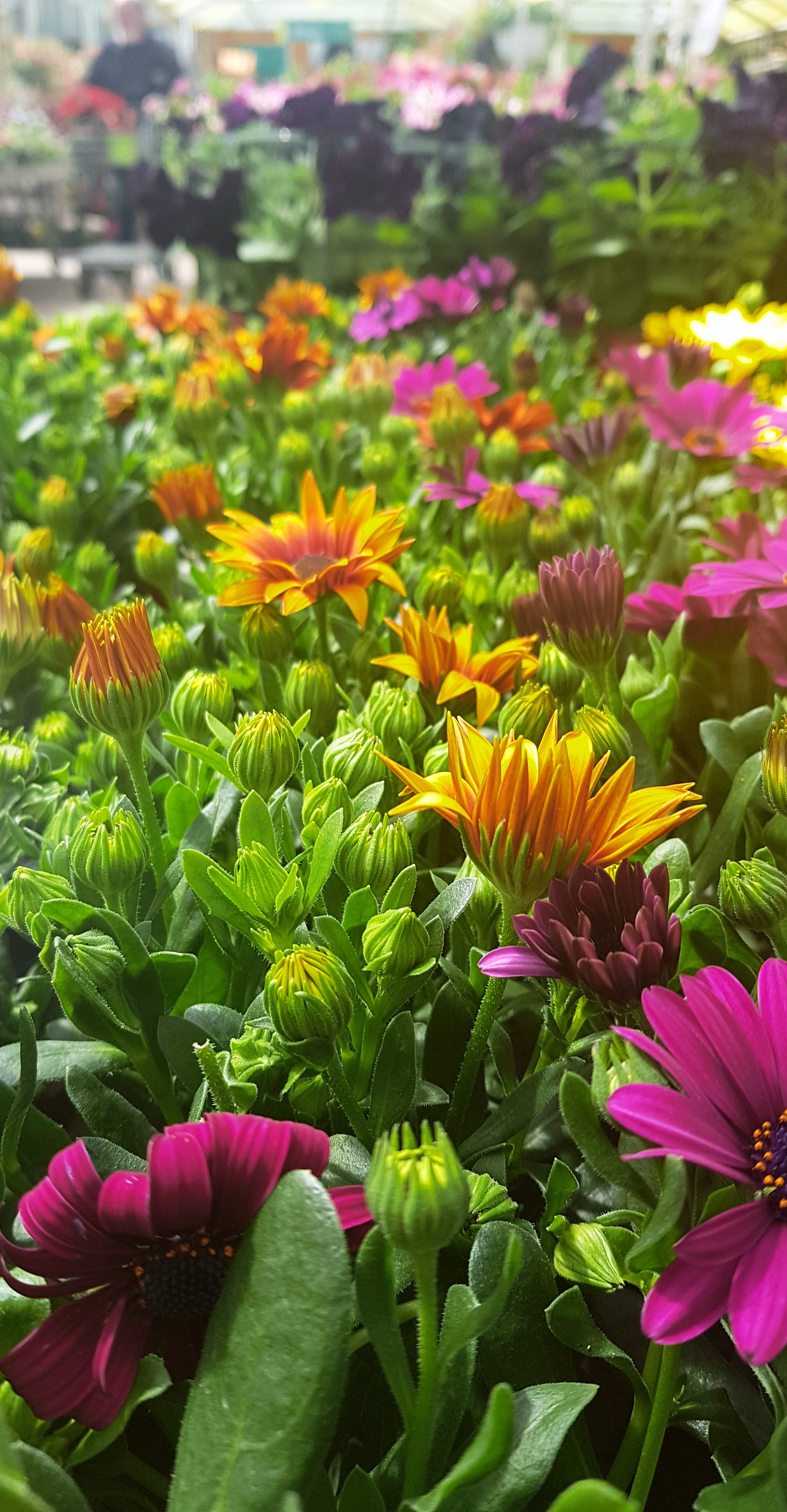 Photo n° 3 de l'avis de Julia.o fait le 19/04/2019 à 16:34