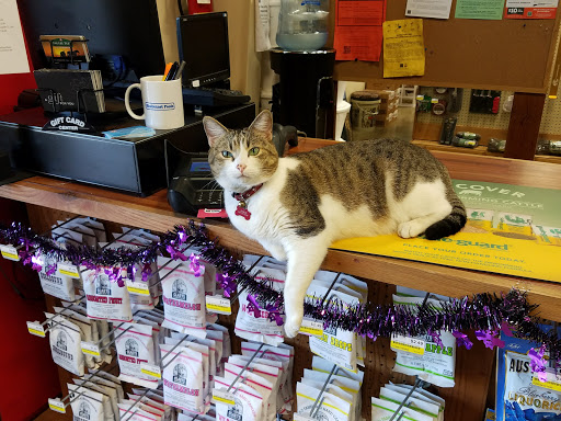 Animal Feed Store «Argyle Feed Store», reviews and photos, 1842 FM407, Argyle, TX 76226, USA